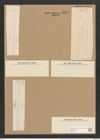 Nitzschia linears "var. intercedens" Grunow (de-Toni-Nr.: Genus 47, Species 2111) Zeichnungen Sammlung Grunow Nr. 4534 (NHMW-BOT-W0372166)